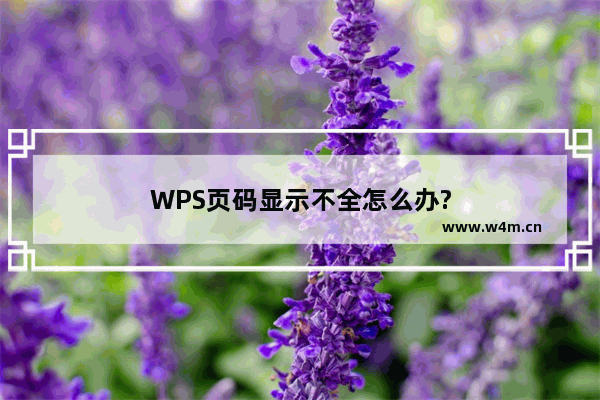 WPS页码显示不全怎么办?