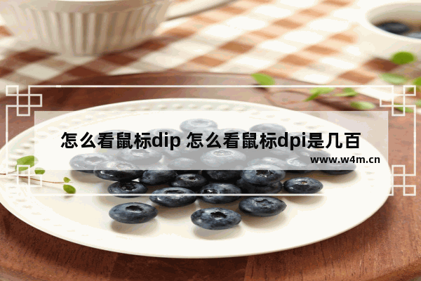 怎么看鼠标dip 怎么看鼠标dpi是几百