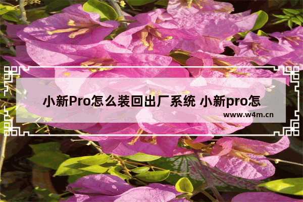 小新Pro怎么装回出厂系统 小新pro怎么重装系统