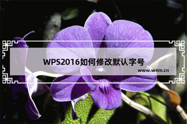 WPS2016如何修改默认字号