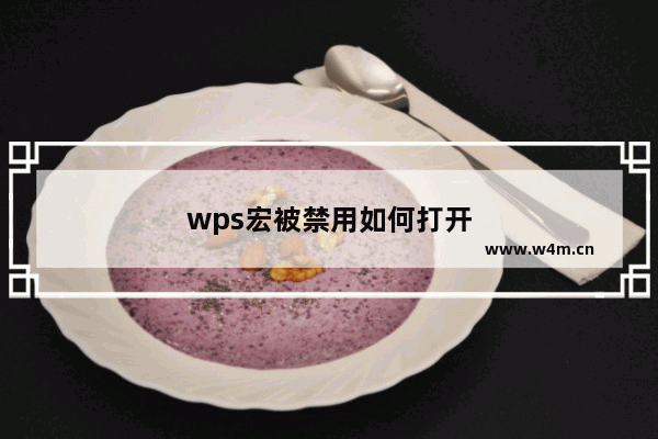 wps宏被禁用如何打开