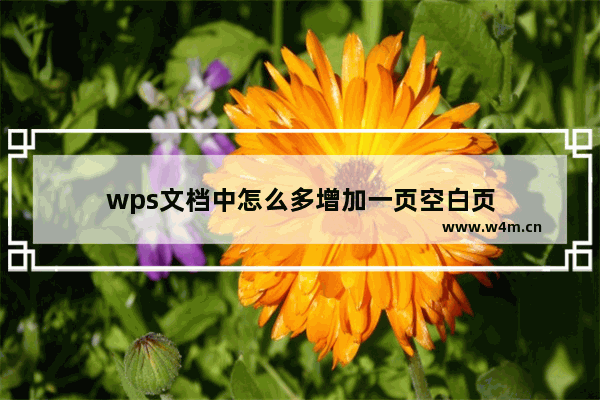 wps文档中怎么多增加一页空白页