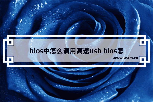 bios中怎么调用高速usb bios怎么设置usb开启