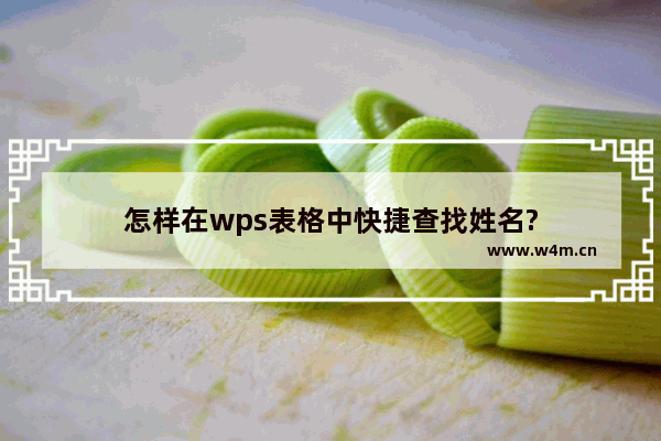 怎样在wps表格中快捷查找姓名?