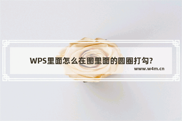 WPS里面怎么在图里面的圆圈打勾?