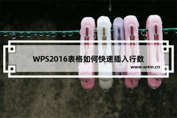 WPS2016表格如何快速插入行数