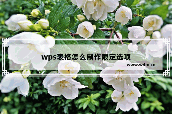 wps表格怎么制作限定选项