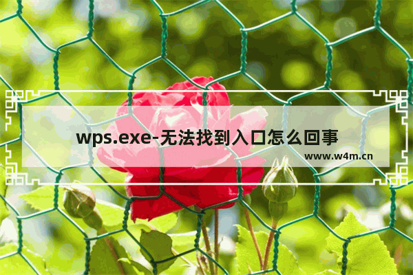 wps.exe-无法找到入口怎么回事