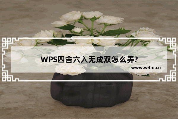 WPS四舍六入无成双怎么弄?