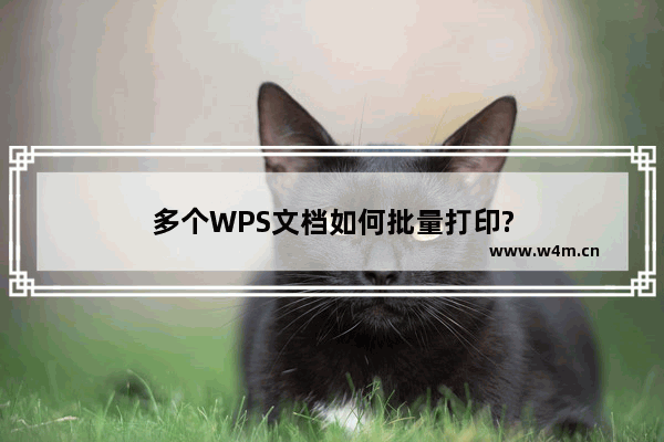 多个WPS文档如何批量打印?