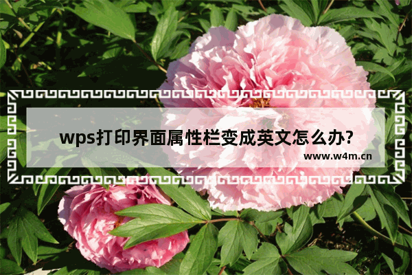 wps打印界面属性栏变成英文怎么办?