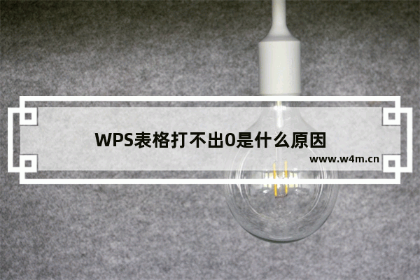 WPS表格打不出0是什么原因