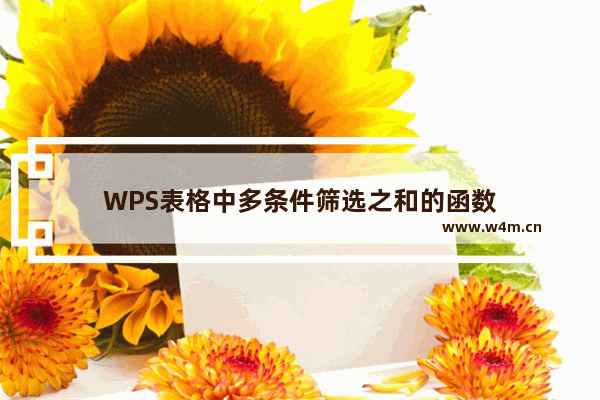 WPS表格中多条件筛选之和的函数