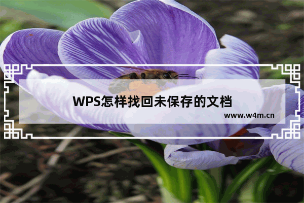 WPS怎样找回未保存的文档