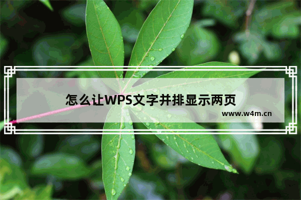 怎么让WPS文字并排显示两页