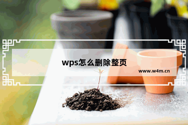 wps怎么删除整页