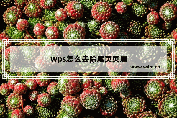 wps怎么去除尾页页眉