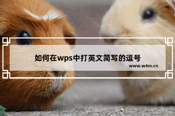 如何在wps中打英文简写的逗号