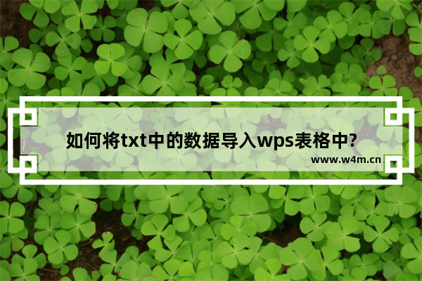 如何将txt中的数据导入wps表格中?