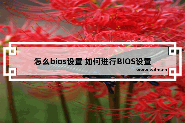 怎么bios设置 如何进行BIOS设置