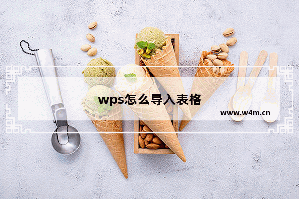 wps怎么导入表格