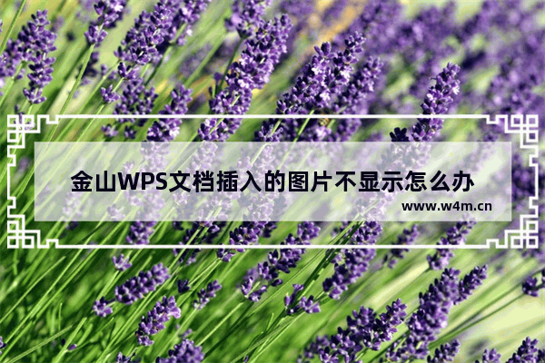 金山WPS文档插入的图片不显示怎么办