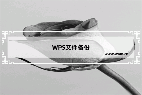 WPS文件备份