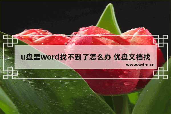 u盘里word找不到了怎么办 优盘文档找不到了