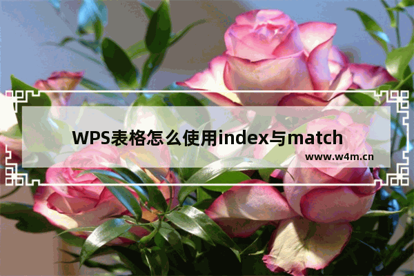 WPS表格怎么使用index与match函数搭配使用?