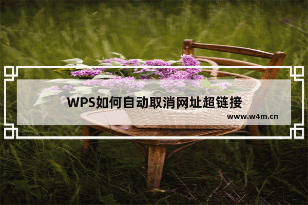 WPS如何自动取消网址超链接