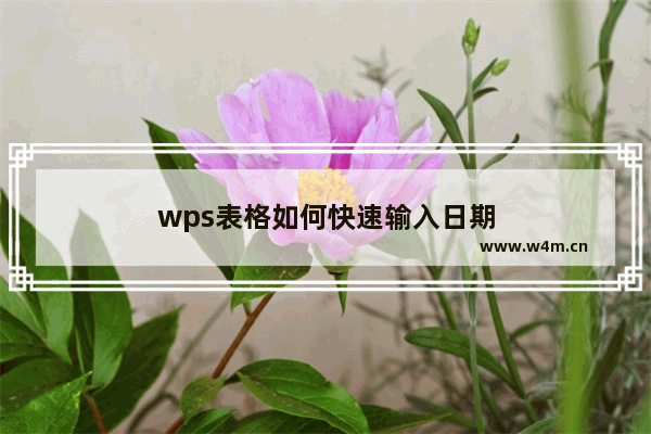 wps表格如何快速输入日期