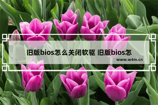 旧版bios怎么关闭软驱 旧版bios怎么关闭软驱启动