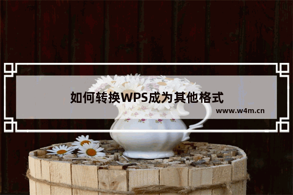 如何转换WPS成为其他格式