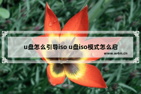 u盘怎么引导iso u盘iso模式怎么启动