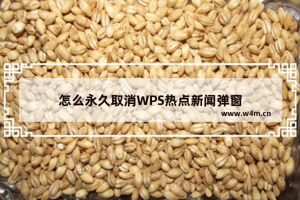 怎么永久取消WPS热点新闻弹窗