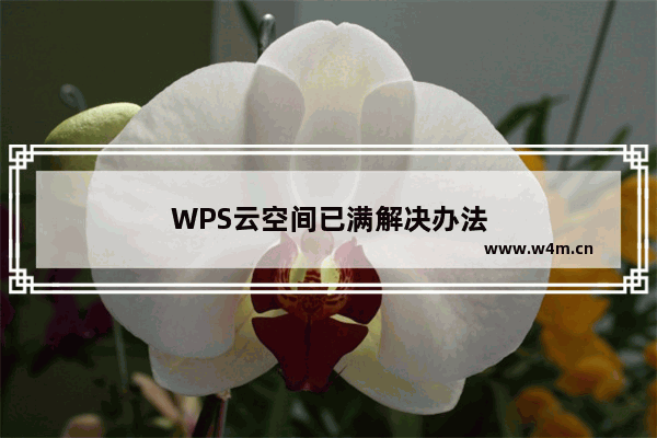 WPS云空间已满解决办法