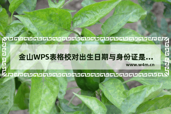 金山WPS表格校对出生日期与身份证是否一致的简单方法