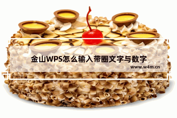 金山WPS怎么输入带圈文字与数字