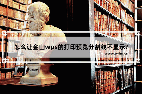 怎么让金山wps的打印预览分割线不显示?