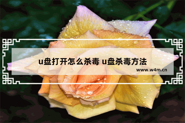 u盘打开怎么杀毒 u盘杀毒方法