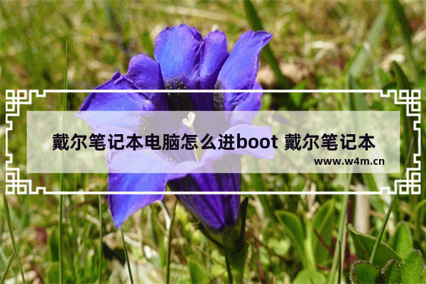 戴尔笔记本电脑怎么进boot 戴尔笔记本电脑怎么进去安全模式