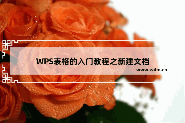 WPS表格的入门教程之新建文档