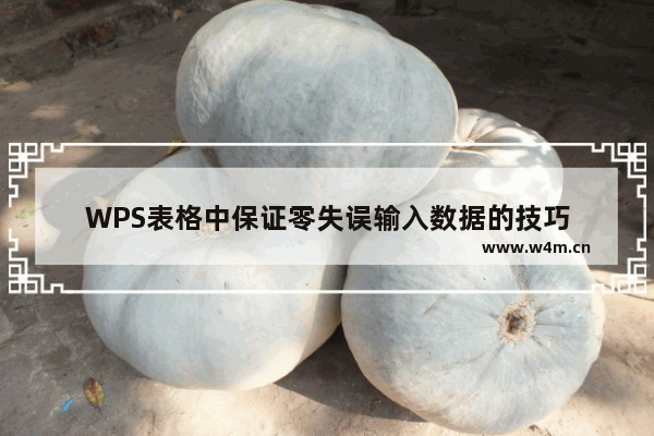 WPS表格中保证零失误输入数据的技巧