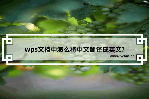 wps文档中怎么将中文翻译成英文?