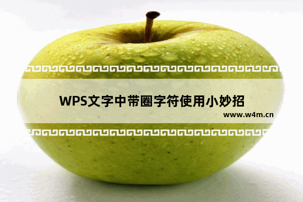 WPS文字中带圈字符使用小妙招