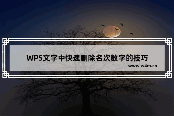 WPS文字中快速删除名次数字的技巧