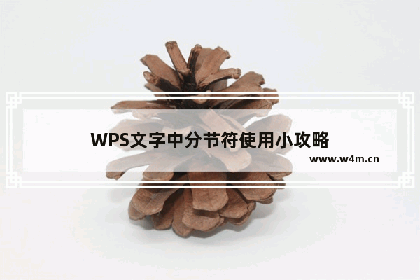 WPS文字中分节符使用小攻略