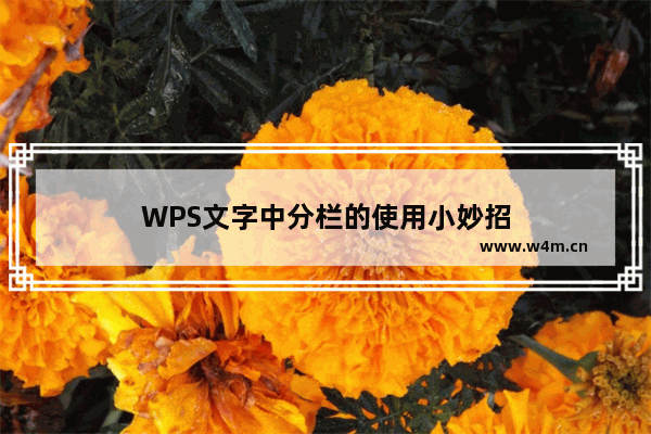 WPS文字中分栏的使用小妙招