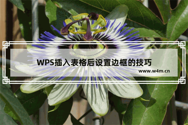 WPS插入表格后设置边框的技巧