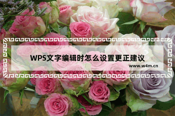 WPS文字编辑时怎么设置更正建议